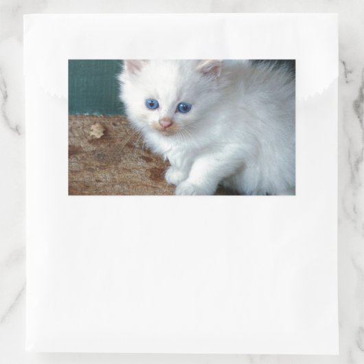 Sticker Rectangulaire Kitten blanc (Sac)