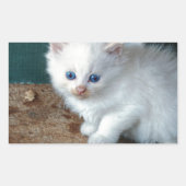 Sticker Rectangulaire Kitten blanc (Devant)