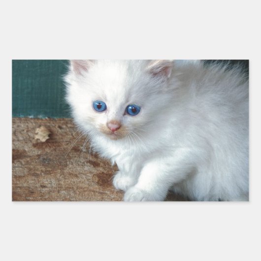 Sticker Rectangulaire Kitten blanc (Devant)