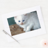 Sticker Rectangulaire Kitten blanc (Enveloppe)