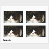 Sticker Rectangulaire Kitten noir et blanc (Feuille)