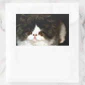 Sticker Rectangulaire Kitten noir et blanc (Sac)