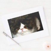 Sticker Rectangulaire Kitten noir et blanc (Enveloppe)