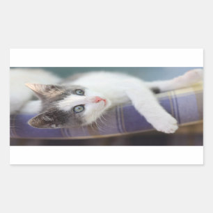Sticker Rectangulaire Kitty doux dans le lit de plaid