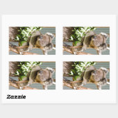 Sticker Rectangulaire Koala Bear (Feuille)