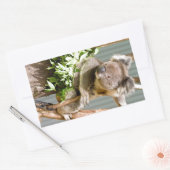 Sticker Rectangulaire Koala Bear (Enveloppe)