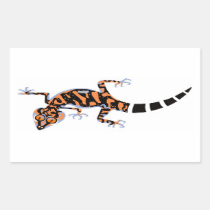 Sticker Rectangulaire Kuriowa's Ground GECKO - Nature - En voie de dispa