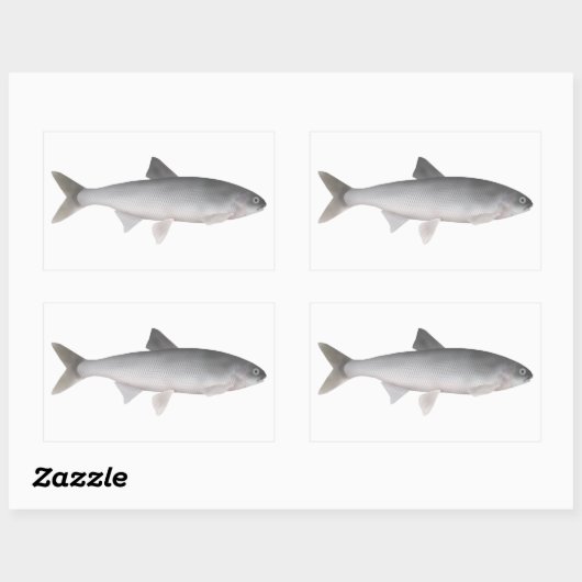 Sticker Rectangulaire Kutum (Feuille)