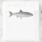 Sticker Rectangulaire Kutum (Sac)