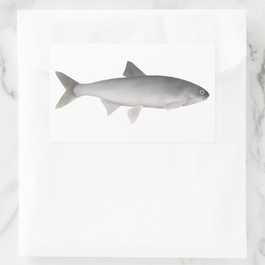 Sticker Rectangulaire Kutum (Sac)
