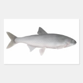 Sticker Rectangulaire Kutum (Devant)