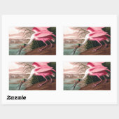 Sticker Rectangulaire La faune des oiseaux d'Audubon de Spoonbill Roseat (Feuille)
