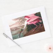 Sticker Rectangulaire La faune des oiseaux d'Audubon de Spoonbill Roseat (Enveloppe)
