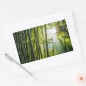 Sticker Rectangulaire La forêt de Bamboo (Enveloppe)