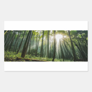 Sticker Rectangulaire La forêt de Bamboo