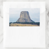 Sticker Rectangulaire La maison de l'ours (Sac)