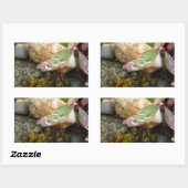 Sticker Rectangulaire La pluie tombe sur la feuille (Feuille)