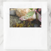Sticker Rectangulaire La pluie tombe sur la feuille (Sac)