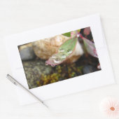 Sticker Rectangulaire La pluie tombe sur la feuille (Enveloppe)