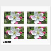 Sticker Rectangulaire La pluie tombe sur une petite fleur (Feuille)