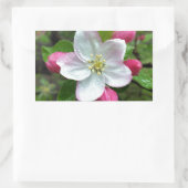 Sticker Rectangulaire La pluie tombe sur une petite fleur (Sac)