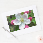 Sticker Rectangulaire La pluie tombe sur une petite fleur (Enveloppe)