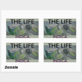 STICKER RECTANGULAIRE LA VIE INDICA (Feuille)