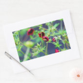 Sticker Rectangulaire L'abeille à la fleur rouge (Enveloppe)