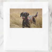Sticker Rectangulaire Labrador chocolat en train de se lécher complèteme (Sac)