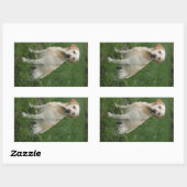 Sticker Rectangulaire Labrador jaune assis (Feuille)
