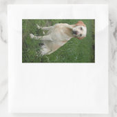 Sticker Rectangulaire Labrador jaune assis (Sac)