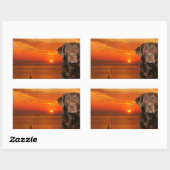 Sticker Rectangulaire Labrador Retriever Chien assis à côté du coucher d (Feuille)
