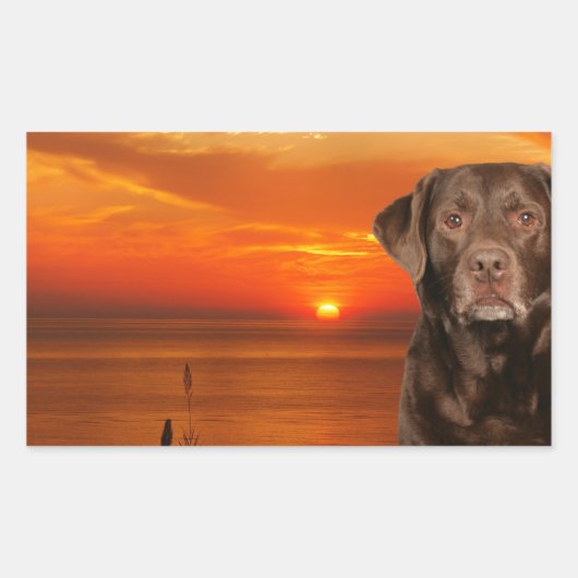 Sticker Rectangulaire Labrador Retriever Chien assis à côté du coucher d (Devant)