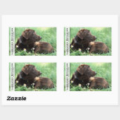 Sticker Rectangulaire Labrador Retriever Et Fleurs Violettes (Feuille)