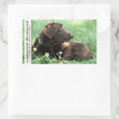 Sticker Rectangulaire Labrador Retriever Et Fleurs Violettes (Sac)