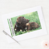 Sticker Rectangulaire Labrador Retriever Et Fleurs Violettes (Enveloppe)