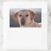 Sticker Rectangulaire Labrador Retriever jaune (Sac)