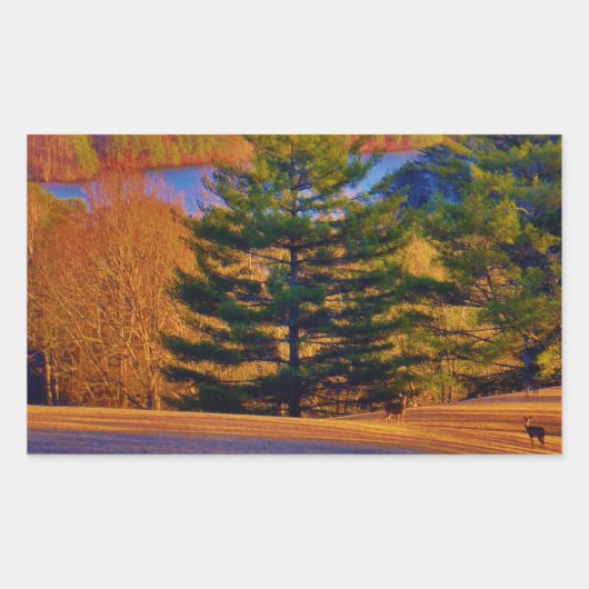Sticker Rectangulaire Lac Deer & Mt (Devant)