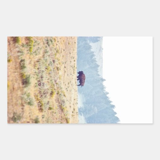 Sticker Rectangulaire Lamar (Devant)