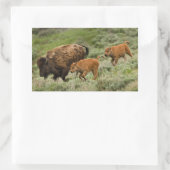 Sticker Rectangulaire Lamar Valley Mini Stampede (Sac)