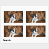 Sticker Rectangulaire L'amour des chiots (Feuille)
