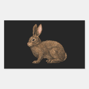 Sticker Rectangulaire Lapin 2