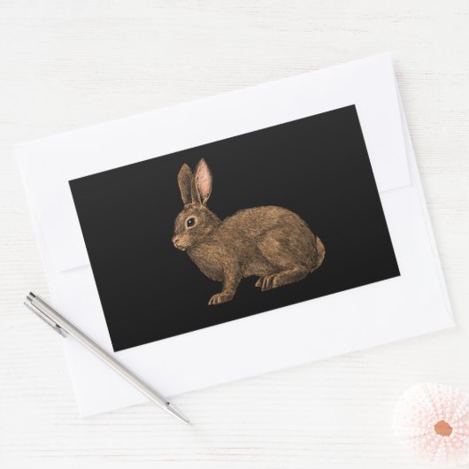Sticker Rectangulaire Lapin 2 (Enveloppe)