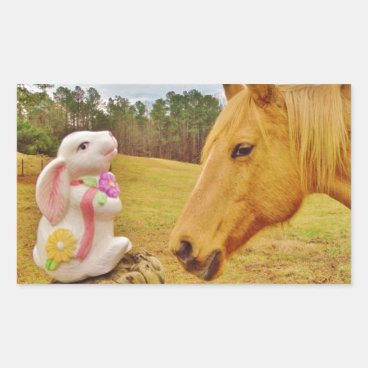 Sticker Rectangulaire Lapin blanc et Cheval jaune (Devant)
