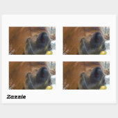 Sticker Rectangulaire Lapin de Pâques et cheval Brown (Feuille)