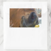 Sticker Rectangulaire Lapin de Pâques et cheval Brown (Sac)