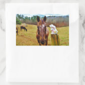 Sticker Rectangulaire Lapin de Pâques et cheval Brown (Sac)