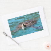 Sticker Rectangulaire L'art de la faune de la tortue de mer Loggerhead (Enveloppe)