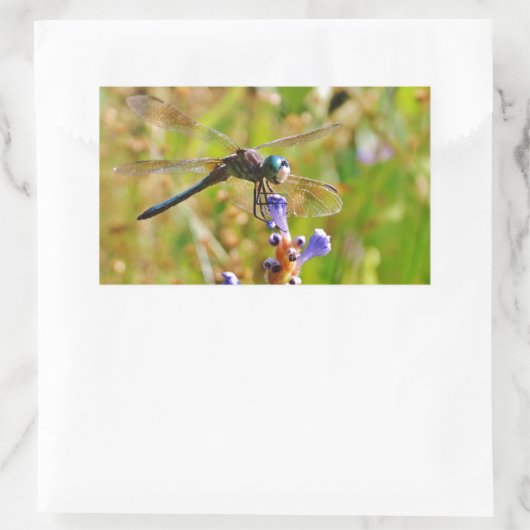 Sticker Rectangulaire Lavande (Sac)