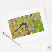 Sticker Rectangulaire Lavande (Enveloppe)